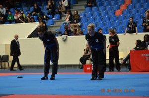 chapionnat2014-images-55